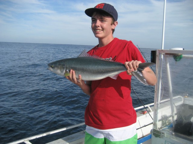 Connors salmon