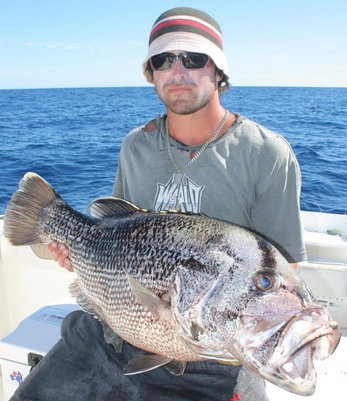 PB 13.5 KG off jurien bay