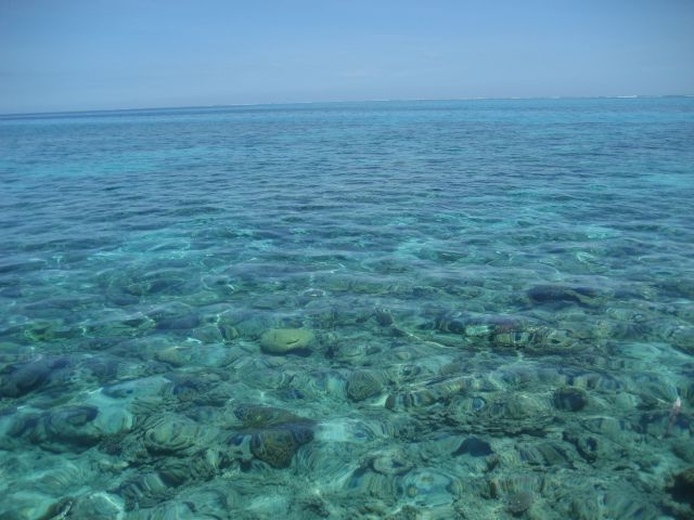 sight casting to groupers, emperors and coral trout