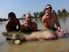 75kg Arapaima gigas