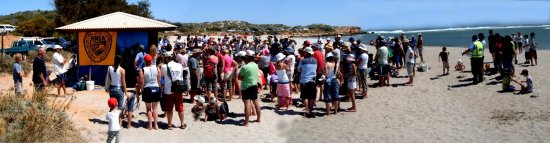 Crowd at the Weigh In - Whiting Comp