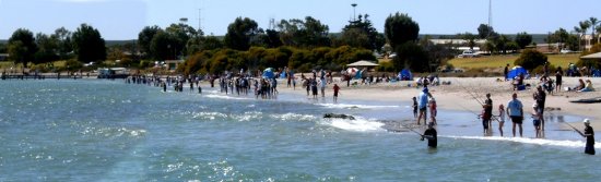 Some of the 174 kids and parents on the beach