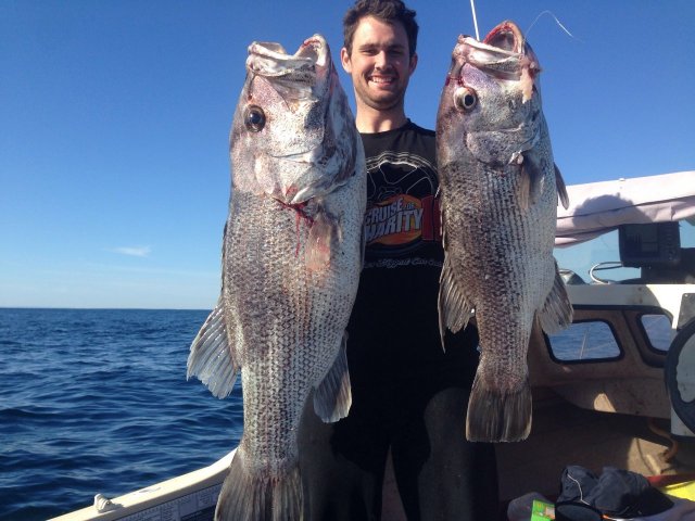 Double Header! Both hooked up 13.8 & 8.6kg mate Holdin Both Fish