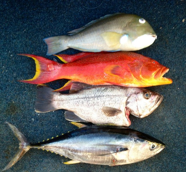 Tasty mixed bag