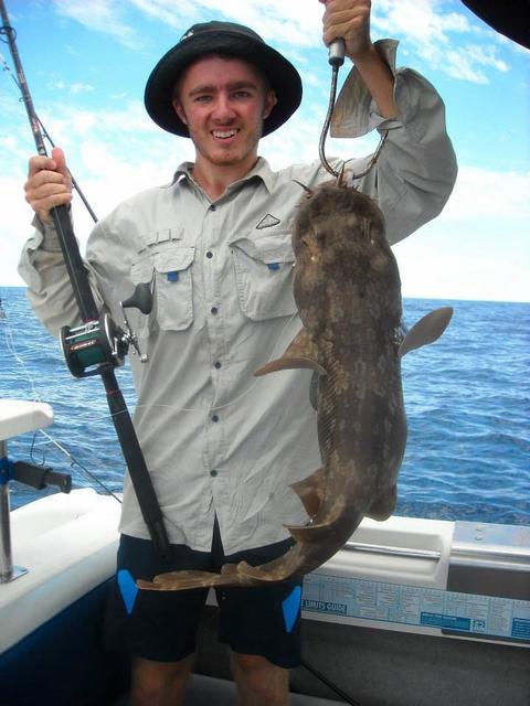 Wobbegong