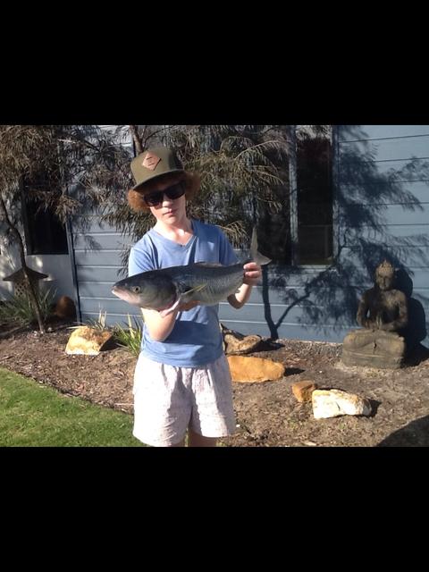 Salmon r still here Salmon r still here