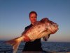 Tim1511's Pink Snapper