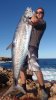 Tim Lee Spanish Mackerel