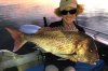 More inshore snapper