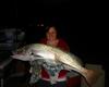 massive mulloway!