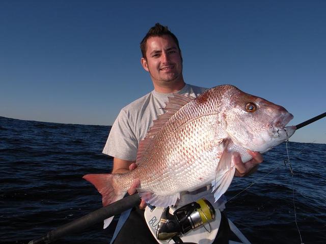 Matt's Pink Snapper