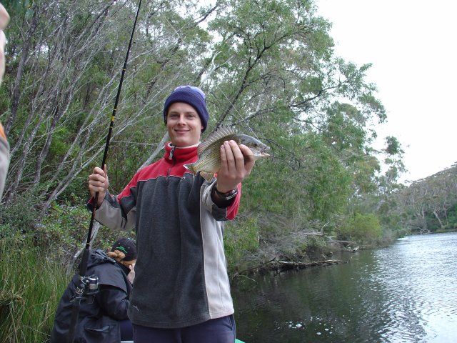 Peter's Black Bream