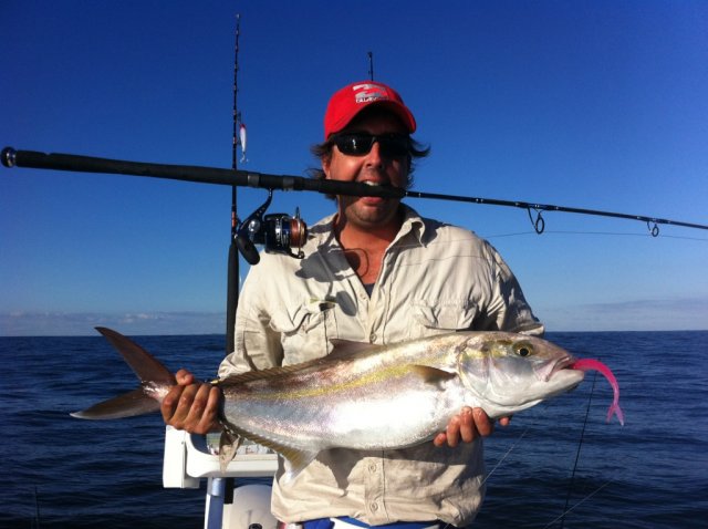 Soft plastic amberjack