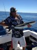 Mindarie Cobia