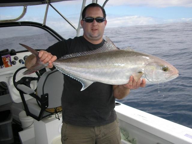 Containers Amberjack