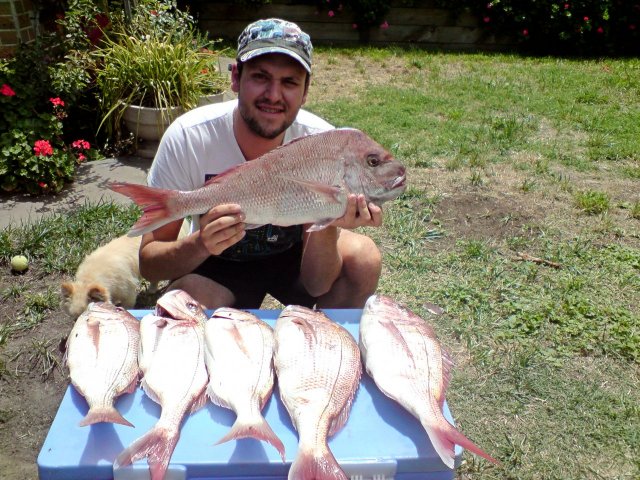 Snapper bag out (Port Phillip Bay, Vic)