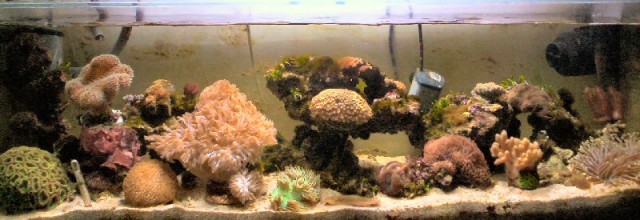 Marine aquarium