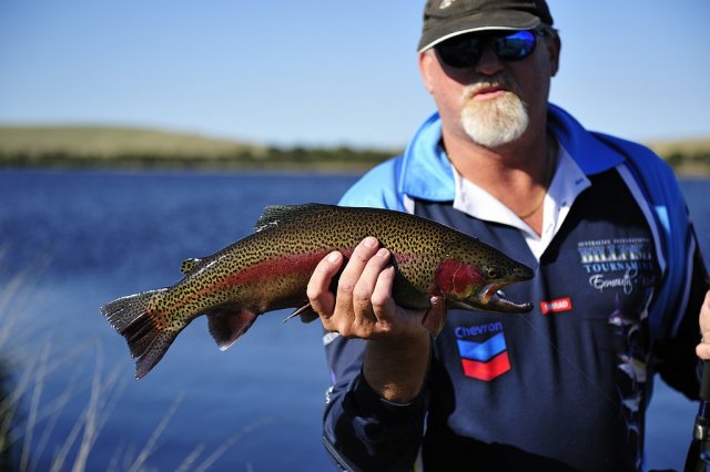 Nice Rainbow Trout from Pejar Dam 