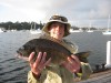 43cm bream