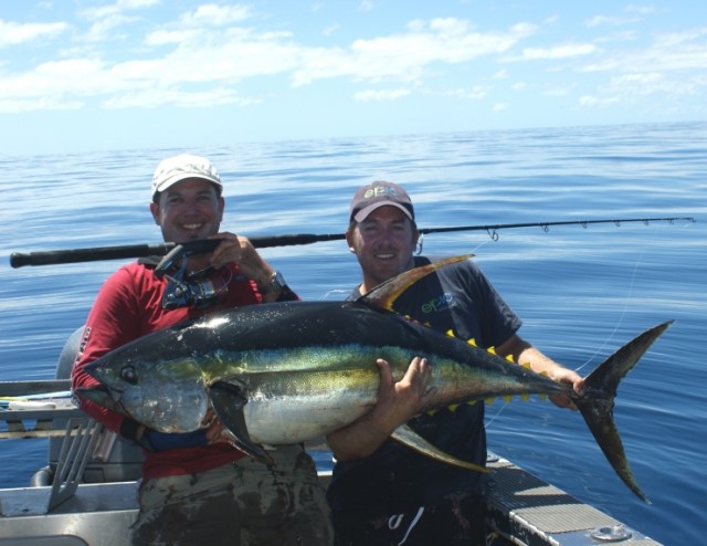 100lb Yellowfin