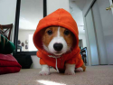 innky's picture
