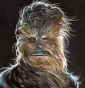 Wookiee's picture