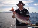 Whiti-fisho's picture