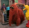mr snuffleupagus's picture