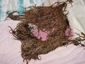 Bloodworm's picture