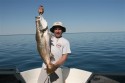 Jay D.'s picture