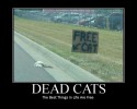 feral1975's picture